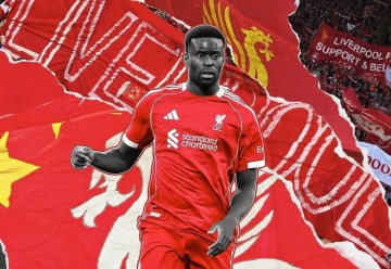 决裂！撕毁协议！队长明夏免费走人